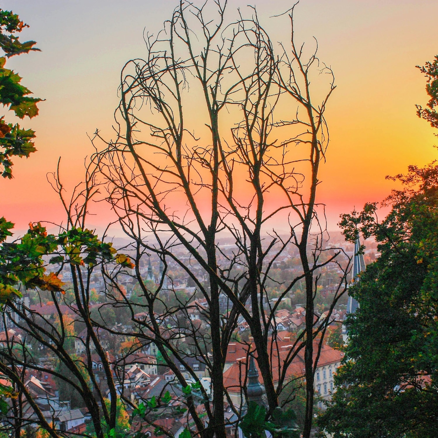 Sfeerbeeld van Ljubljana in Slovenië